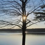 Pam Hall Quigley - @quigleypam - Instagram