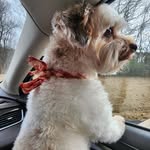 Pam Quigley - @pamquigley - Instagram