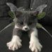 Pam Ramirez - Facebook