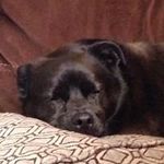 Pam Randle - @pammeh3 - Instagram