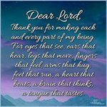 Pam Randle - @pamrandle - Instagram