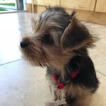 Pam - @pamrandles - Instagram
