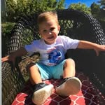 Pam Randles - @randlespam - Instagram