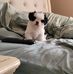 Pam Randolph - Facebook