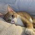 Pam Randolph - Facebook