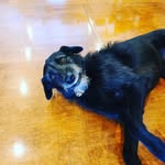 Pam Read - @pamread4 - Instagram