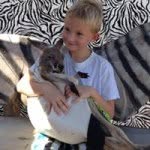 Pam Redden-Werchinski - @danceexpressionsbypamela - Instagram