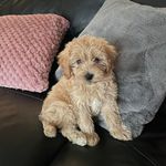 Pam Redfern - @pamredfern22 - Instagram