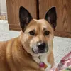 pamelaredfern471 - @pamelaredfern471 - TikTok