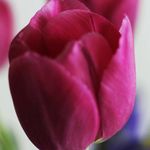 Pam Redman - @predmom - Instagram