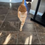 @redmans.spam - Instagram