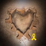 Pam Goben Reiners - @hope365_ - Instagram