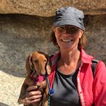 Pam Rice - @pamriceart - Instagram
