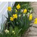 Pam Riddle - Facebook
