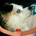 Pam Riddle - Facebook