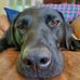 Pam Riddle - Facebook