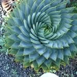 Pam Ring - @2pamring - Instagram