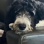 Pam Ring - @spamula59 - Instagram