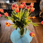 Pam Riordan - @pamrio06 - Instagram