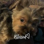 Pam Roach - @pam.roach.16 - Instagram