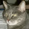 Pam Roper - @pam.roper5 - TikTok