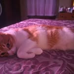 Pamela Roper - @pamroper44 - Instagram