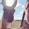 ruben - @rubenspam9 - TikTok