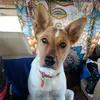 RubyDoobyDooandJacob2 - @pam.rubydoobydoo2022 - TikTok