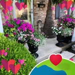 Pam Sapp - @pam.sapp.7965 - Instagram