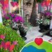 Pam Sapp - Facebook
