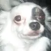 pamelasapp421 - @pamelasapp421 - TikTok
