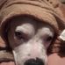 Pamela Schaeffer - Facebook