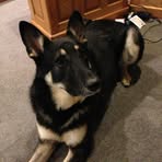 Pam Mannarelli Schauer - Facebook