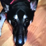 Pam Mannarelli Schauer - @pammannarelli - Instagram