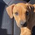 Pam Scheer - Facebook