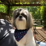Pam Schickel - @pamschickel - Instagram