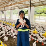 PamasFarm2024 - @pamaschick - Instagram