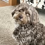 Pam Schmitz - @pamschmitzmn - Instagram