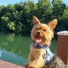 Pam Schmitz - @pamschmitz2 - TikTok
