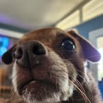 Pam Schock - @schockpam - Instagram