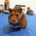 Pamela - @pamela_pocket396873_schrager - Instagram