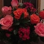 Pam Schuster - @pam.schuster - Instagram