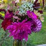 Pamela Seger - Facebook
