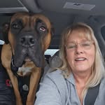 Pam Reynolds - @pamself2017 - Instagram