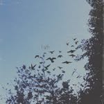 Pam Severance - @intrisour - Instagram