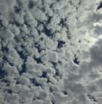 Pamela Severance - Facebook