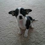 Pam Evans - @pam.shealy.5 - Instagram