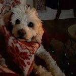 Pamela Shealy - @pamela.shealy.5 - Instagram