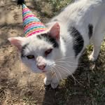 Pam Sheely Dickerson - @pamkdickerson - Instagram