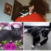 Pam Sheldon - @julena12519 - TikTok
